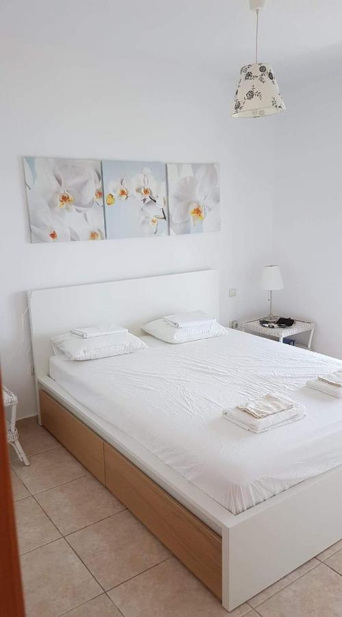 Vakantiehuis Panorama House *
